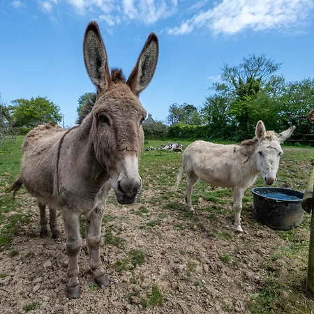 Hébergement de vacances Ecurie Des Fieffes - Maison Au Calme En Campagne Ozeville